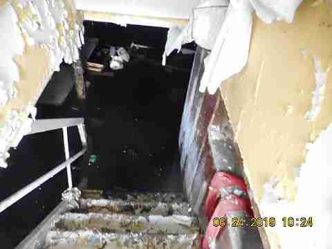 19604 Albion (10)_m.jpg